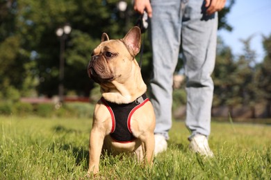 Photo of Man with his cute French bulldog in park, closeup