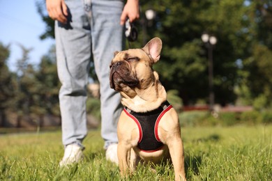 Photo of Man with his cute French bulldog in park, closeup