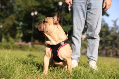Photo of Man with his cute French bulldog in park, closeup