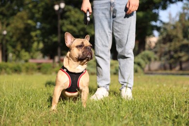 Photo of Man with his cute French bulldog in park, closeup
