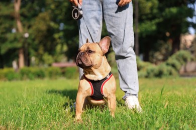 Photo of Man with his cute French bulldog in park, closeup