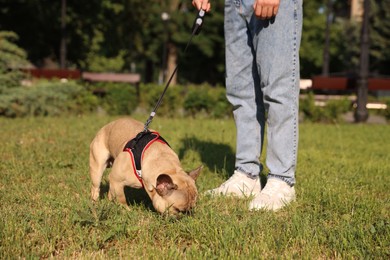 Photo of Man with his cute French bulldog in park, closeup