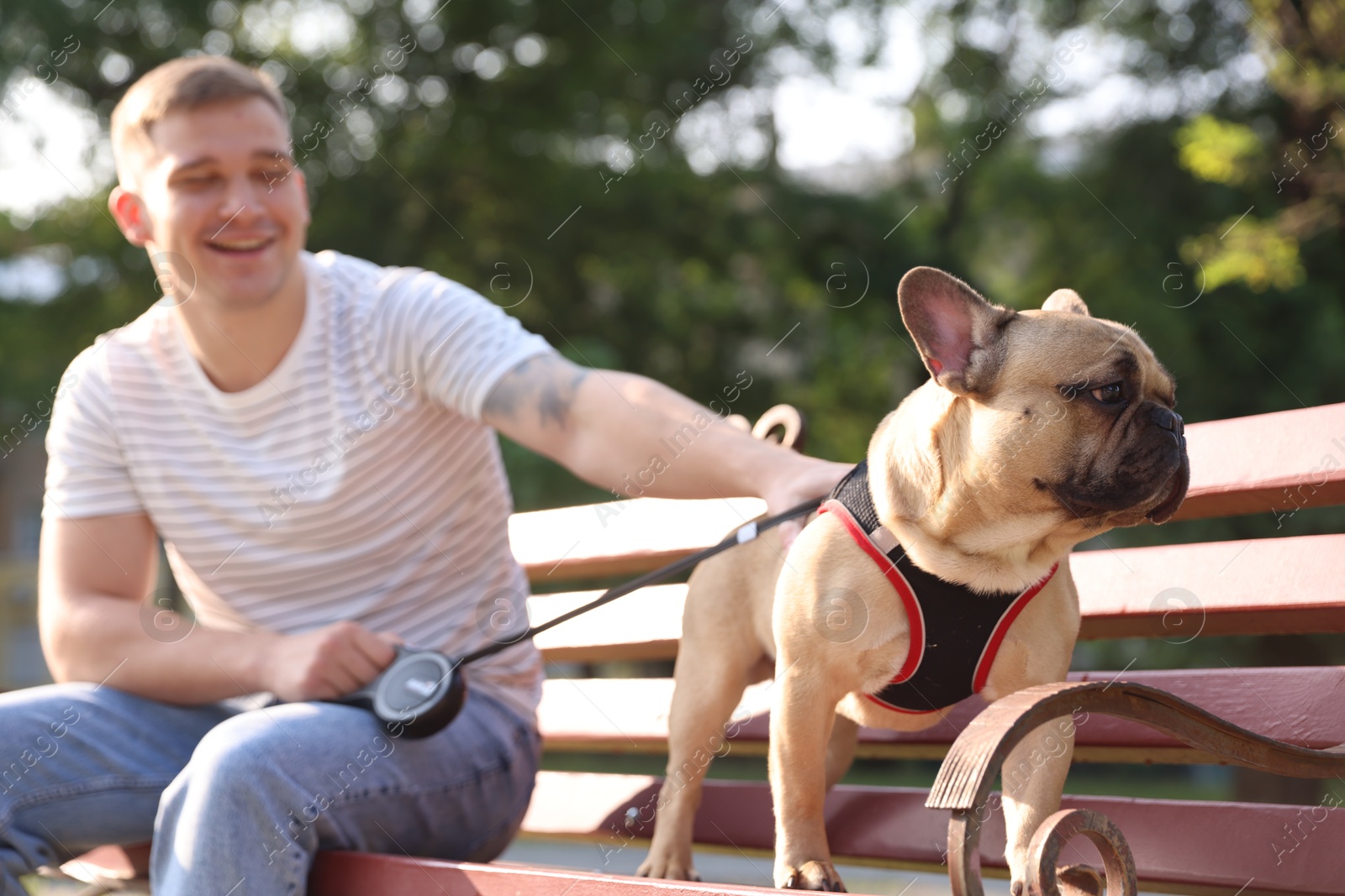Happy man with his cute French bulldog on bench in park, selective focus Photo of Happy man with his cute French bulldog on bench in park, selective focus