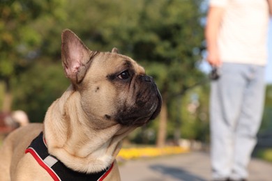Photo of Man with his cute French bulldog in park, closeup