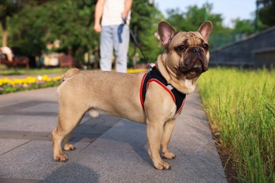 Photo of Man with his cute French bulldog in park, closeup