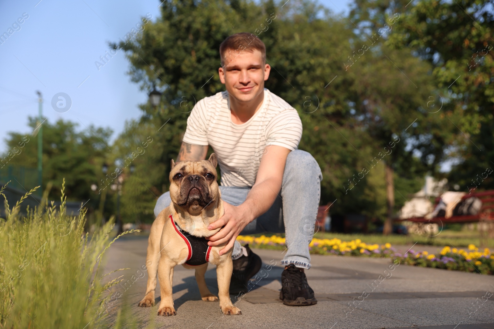 Happy man with his cute French bulldog in park Photo of Happy man with his cute French bulldog in park