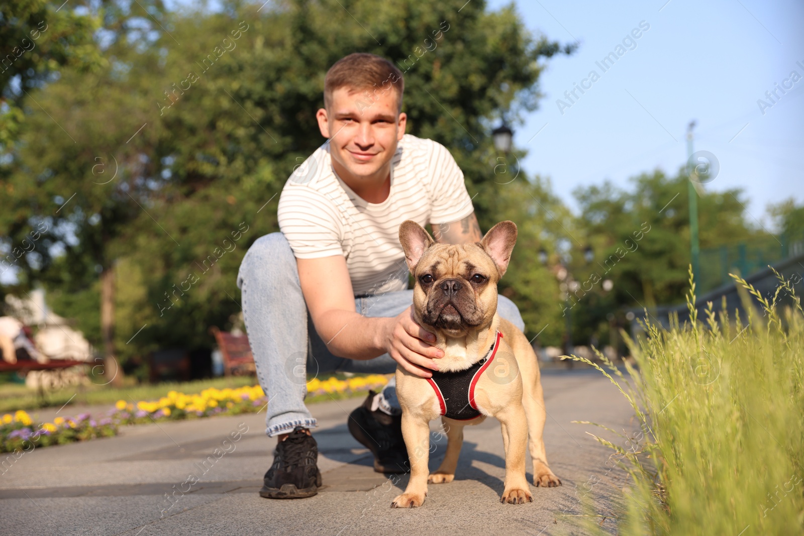 Happy man with his cute French bulldog in park Photo of Happy man with his cute French bulldog in park