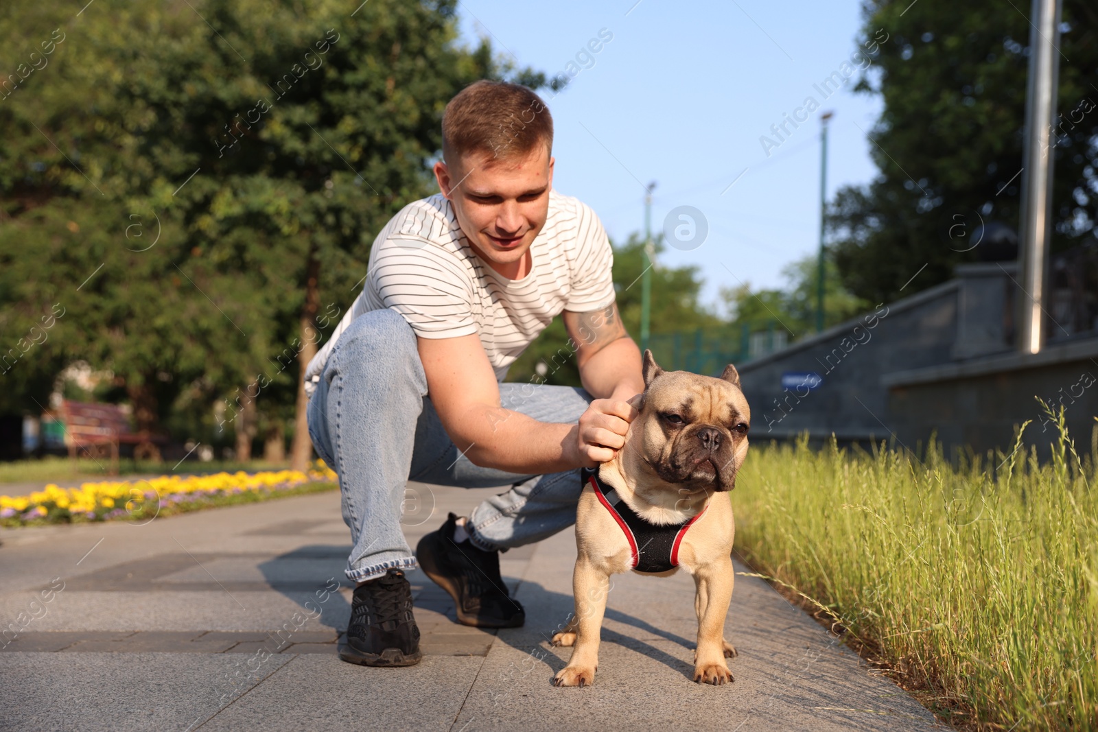 Happy man with his cute French bulldog in park Photo of Happy man with his cute French bulldog in park