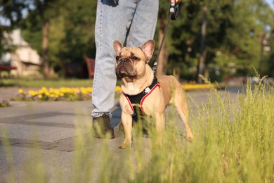 Photo of Man with his cute French bulldog in park, closeup