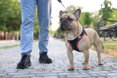 Photo of Man with his cute French bulldog in park, closeup