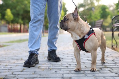 Photo of Man with his cute French bulldog in park, closeup