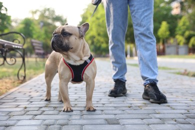 Photo of Man with his cute French bulldog in park, closeup