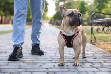 Photo of Man with his cute French bulldog in park, closeup