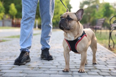 Photo of Man with his cute French bulldog in park, closeup
