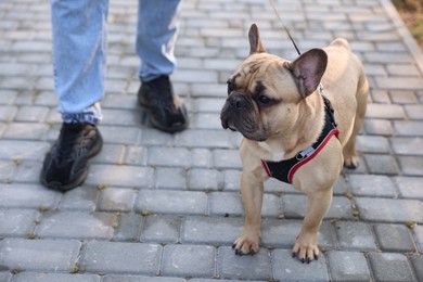 Photo of Man with his cute French bulldog in park, closeup