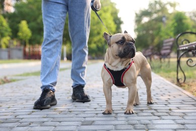 Photo of Man with his cute French bulldog in park, closeup