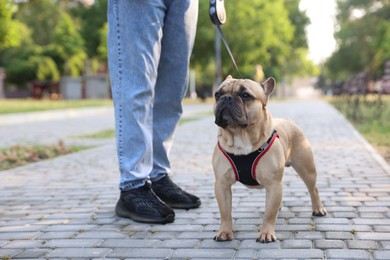 Photo of Man with his cute French bulldog in park, closeup
