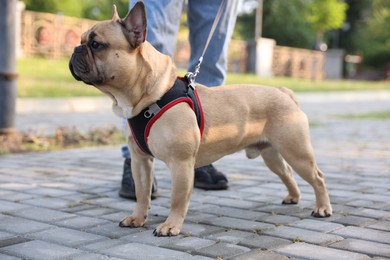 Photo of Man with his cute French bulldog in park, closeup