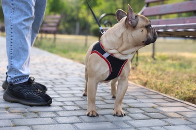 Photo of Man with his cute French bulldog in park, closeup