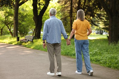 Photo of Lovely senior couple walking together in park, back view. Space for text