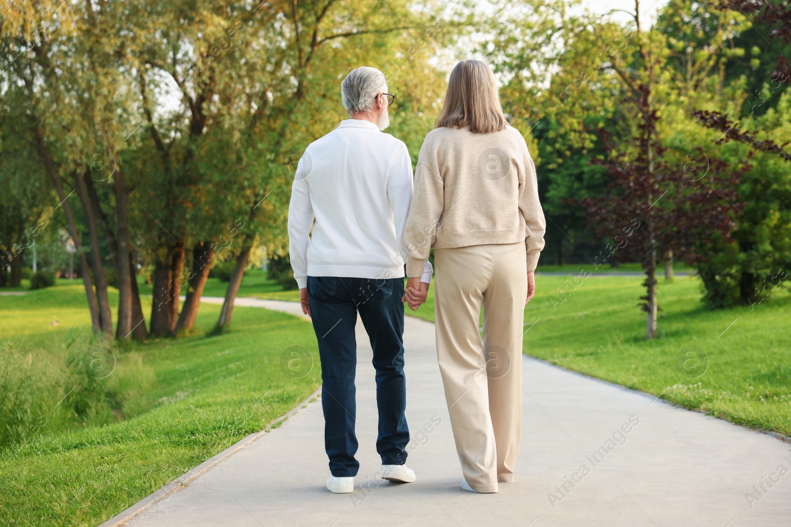 Photo of Lovely senior couple walking together in park, back view