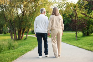 Photo of Lovely senior couple walking together in park, back view