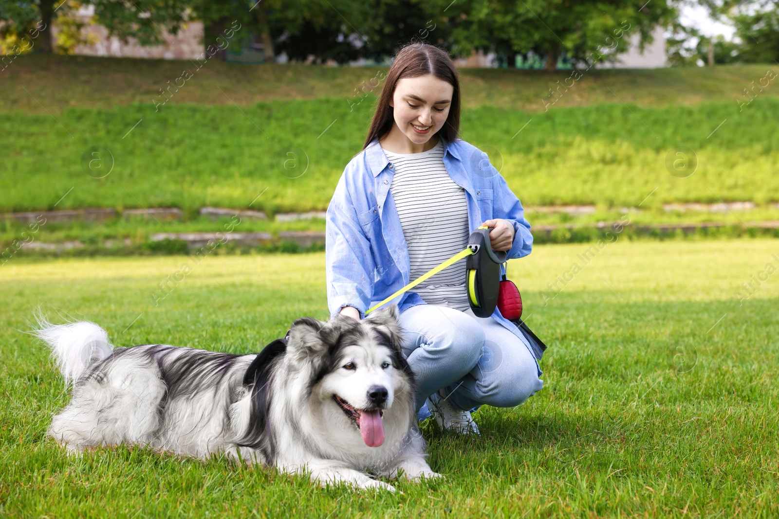 Photo of Happy woman with her cute Alaskan malamute dog on green grass outdoors
