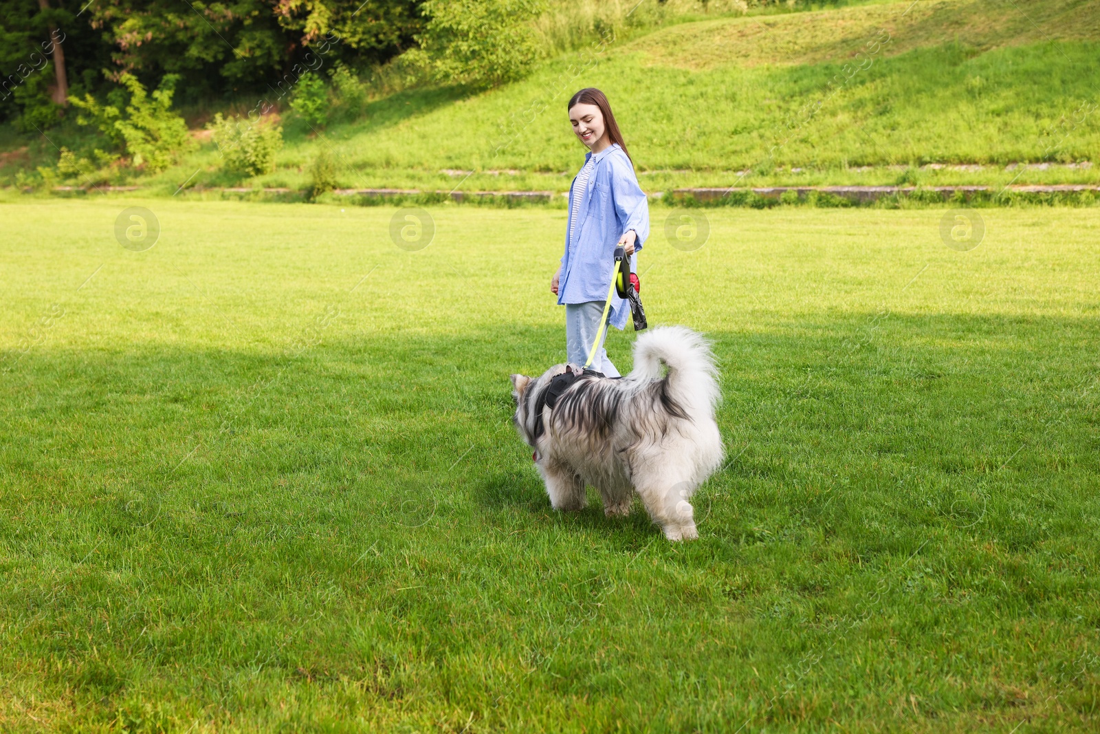 Photo of Happy woman walking with her cute Alaskan malamute dog on green grass outdoors