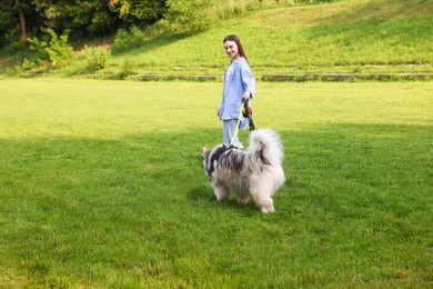 Photo of Happy woman walking with her cute Alaskan malamute dog on green grass outdoors