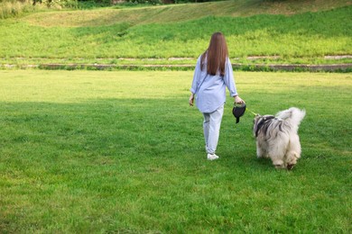 Photo of Woman walking with her cute Alaskan malamute dog on green grass outdoors, back view. Space for text