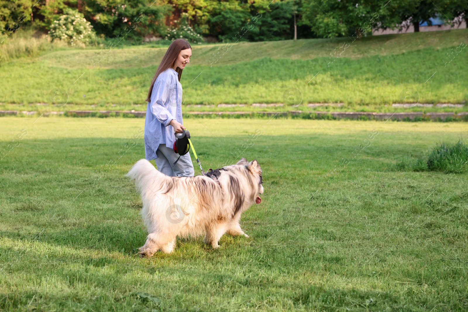 Photo of Happy woman walking with her cute Alaskan malamute dog on green grass outdoors