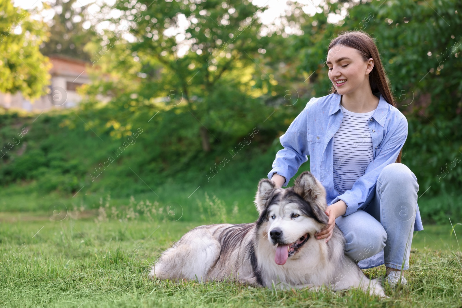 Photo of Happy woman with her cute Alaskan malamute dog on green grass outdoors. Space for text