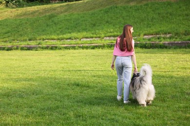 Photo of Woman walking with her cute Alaskan malamute dog on green grass outdoors, back view. Space for text