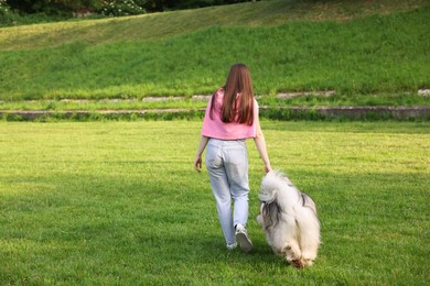 Photo of Woman walking with her cute Alaskan malamute dog on green grass outdoors, back view. Space for text