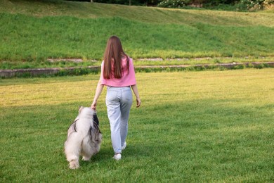 Photo of Woman walking with her cute Alaskan malamute dog on green grass outdoors, back view. Space for text