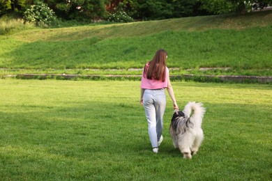 Photo of Woman walking with her cute Alaskan malamute dog on green grass outdoors, back view. Space for text