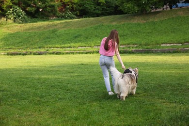 Photo of Woman walking with her cute Alaskan malamute dog on green grass outdoors, back view. Space for text