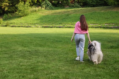 Photo of Woman walking with her cute Alaskan malamute dog on green grass outdoors, back view. Space for text