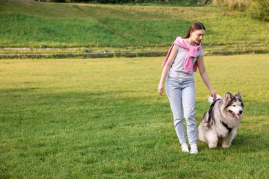 Photo of Woman walking with her cute Alaskan malamute dog on green grass outdoors. Space for text