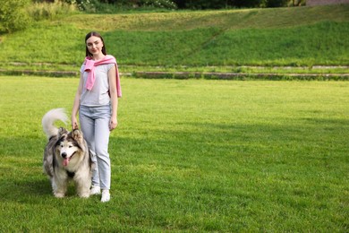 Photo of Woman with her cute Alaskan malamute dog on green grass outdoors. Space for text
