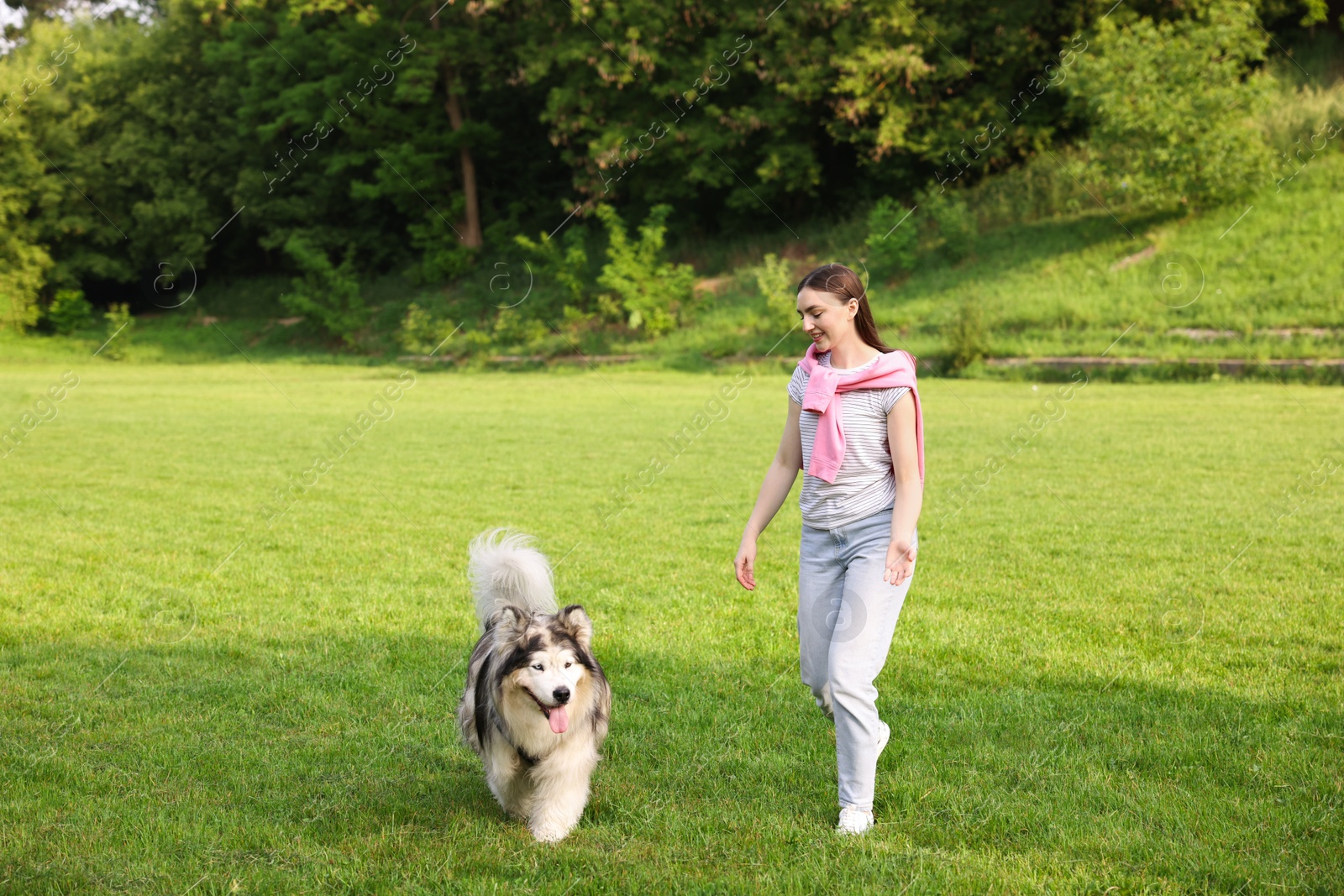 Photo of Smiling woman walking with her cute Alaskan malamute dog on green grass outdoors