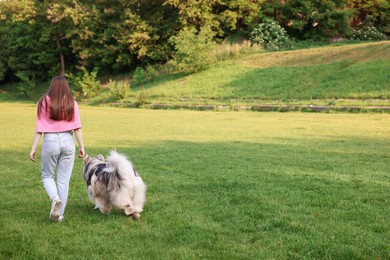 Photo of Woman walking with her cute Alaskan malamute dog on green grass outdoors, back view. Space for text