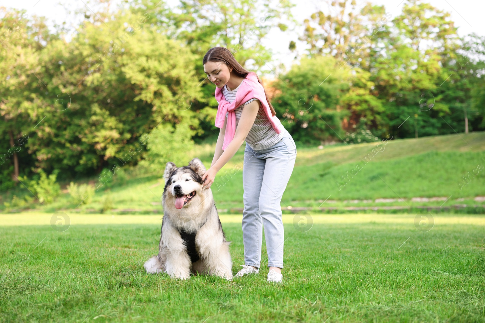 Photo of Smiling woman with her cute Alaskan malamute dog on green grass outdoors