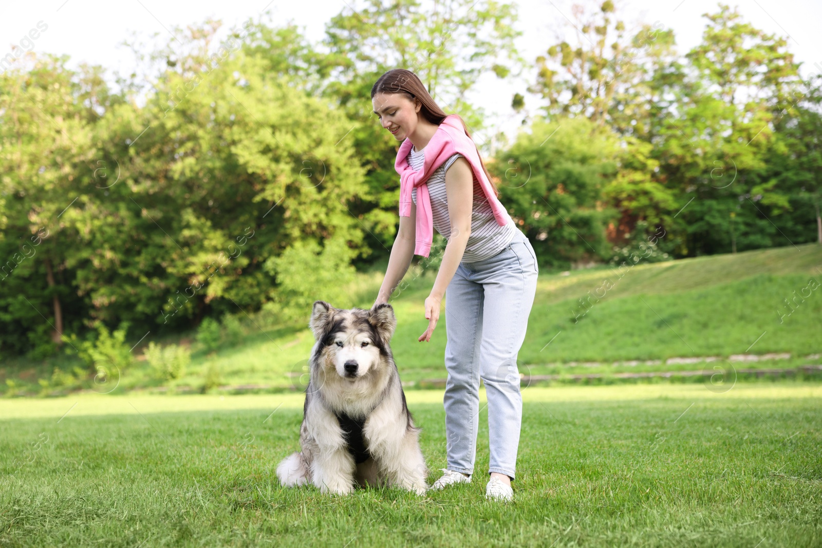 Photo of Smiling woman with her cute Alaskan malamute dog on green grass outdoors