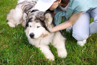 Photo of Woman with her cute Alaskan malamute dog on green grass outdoors
