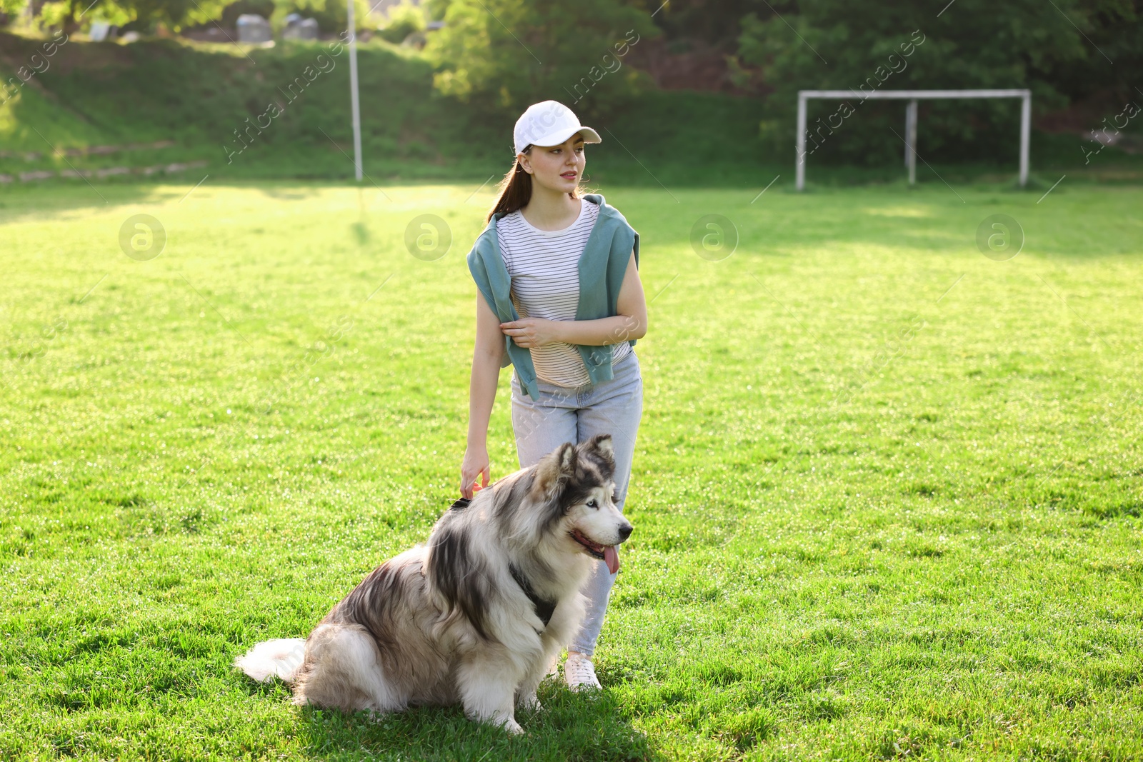 Photo of Woman with her cute Alaskan malamute dog on green grass outdoors in morning