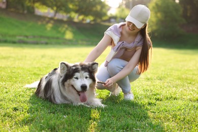 Photo of Smiling woman giving stick to her cute Alaskan malamute dog on green grass outdoors in morning