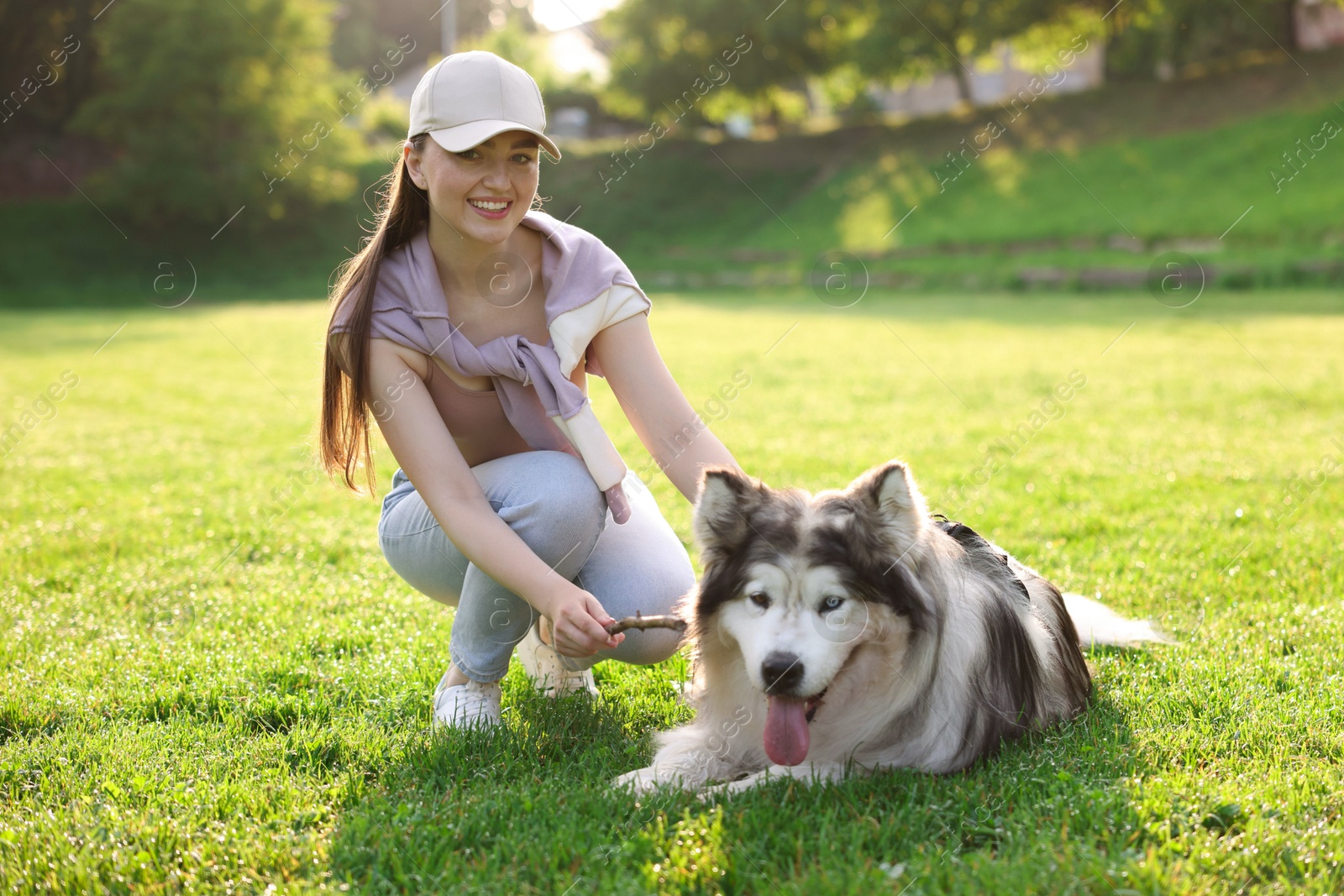 Smiling woman giving stick to her cute Alaskan malamute dog on green grass outdoors in morning Photo of Smiling woman giving stick to her cute Alaskan malamute dog on green grass outdoors in morning