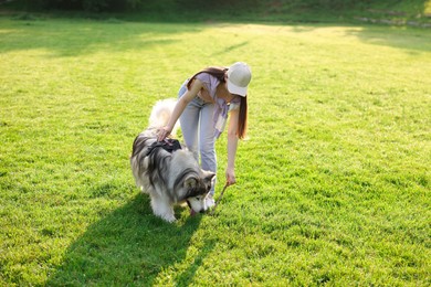 Photo of Woman giving stick to her cute Alaskan malamute dog on green grass outdoors in morning