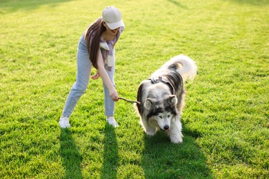 Photo of Smiling woman giving stick to her cute Alaskan malamute dog on green grass outdoors in morning